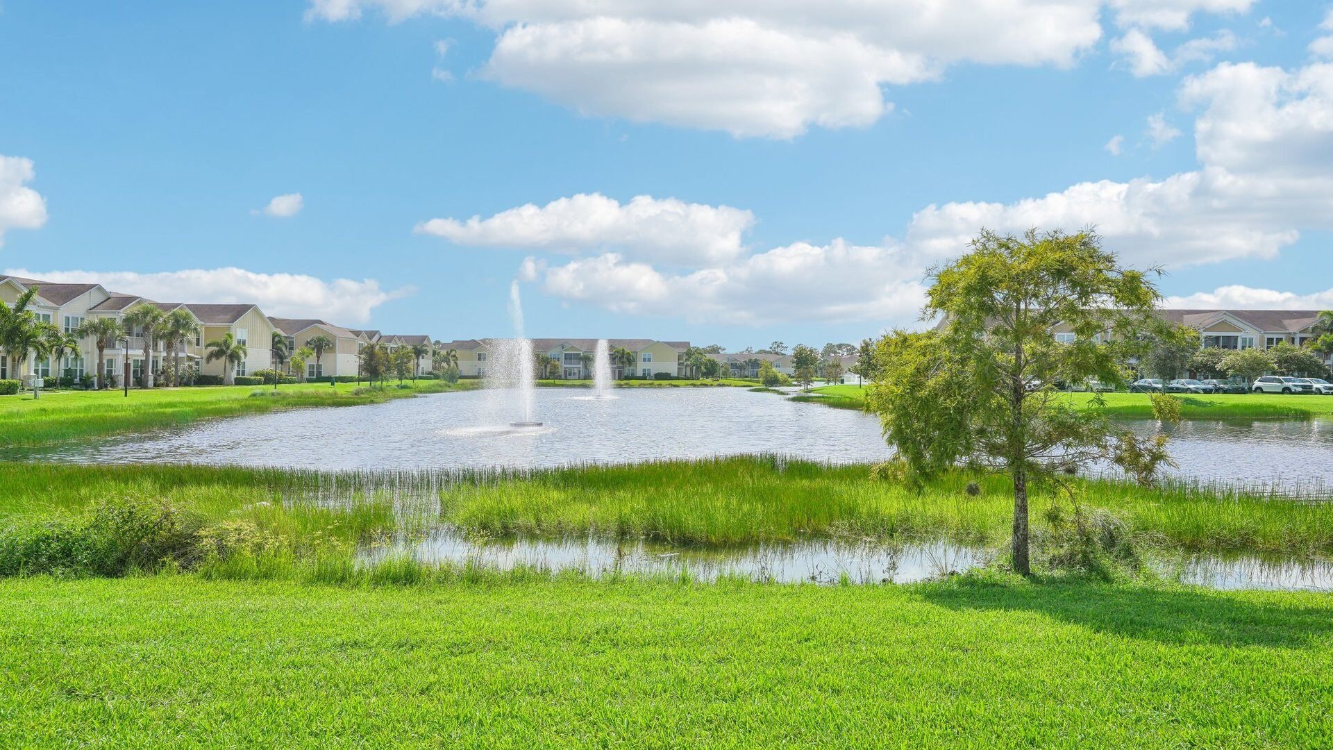 Six Mile Cypress Pond