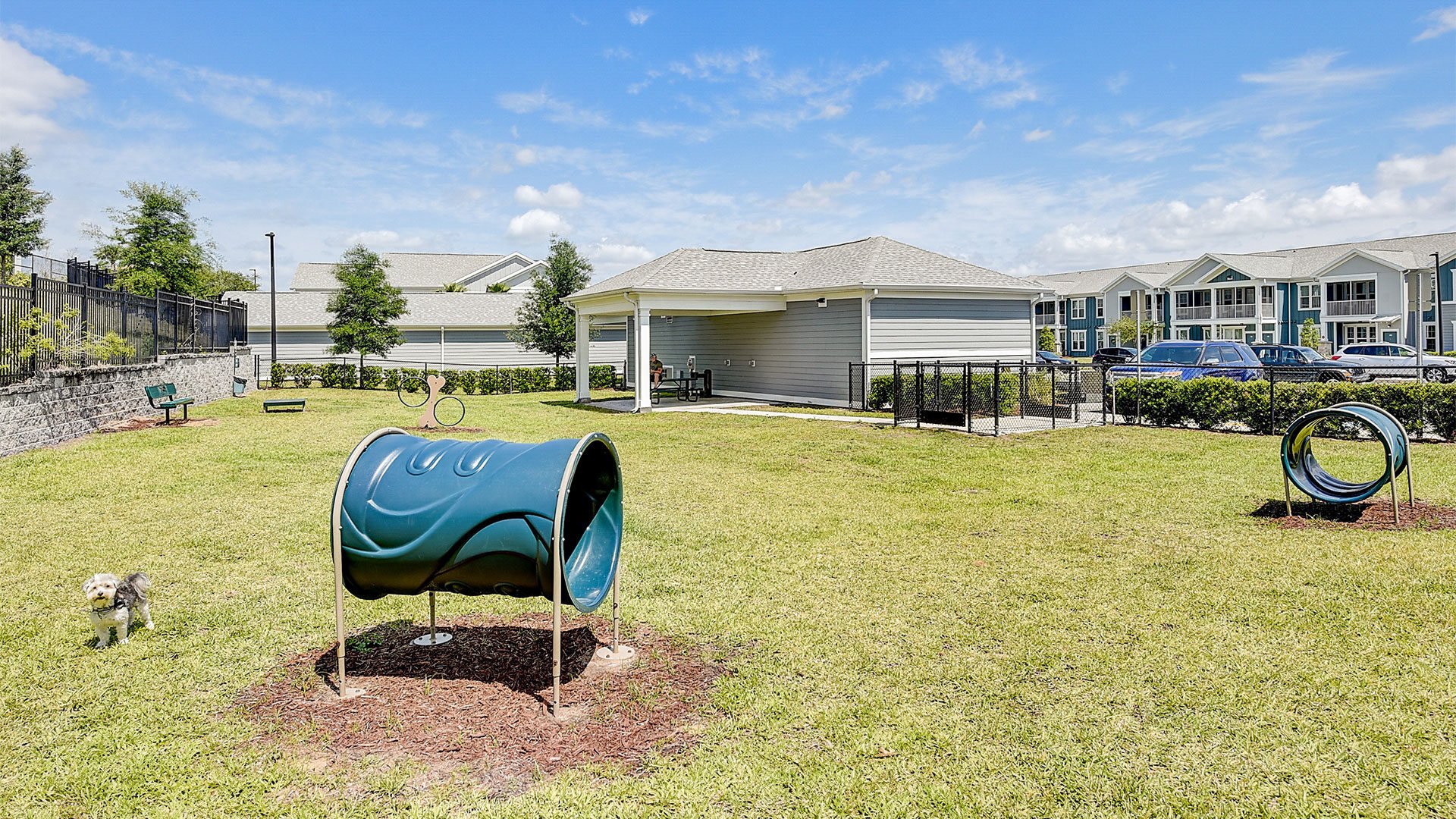 edited Posner Park Pet Playground (2)